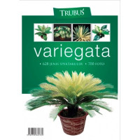 Image of Variegata
