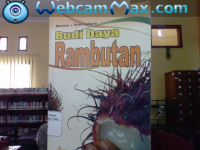 Image of Budi Daya Rambutan