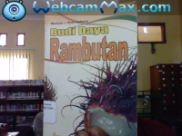 Budi Daya Rambutan