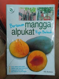 Bertanam mangga alpukat rajin berbuah