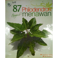 Image of 87 Philodendron tampil menawan