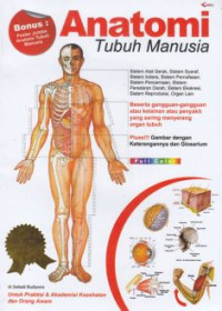 Image of Anatomi tubuh manusia