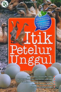 Image of Itik petelur unggul