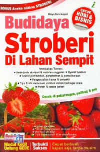 Image of Budidaya Stroberi Di Lahan Sempit