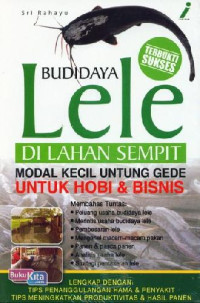 Image of BUDIDAYA LELE DI LAHAN SEMPIT