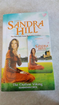 Image of The Outlaw Viking