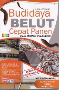 Budidaya Belut Cepat Panen