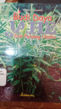 Image of Budi Daya Jahe dan Peluang Usaha