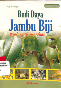 Image of Budi Daya Jambu Biji Buah Bermanfaat