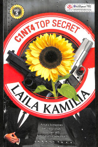 Image of Cint4 Top Secret