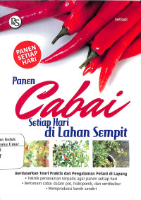 Image of Panen Cabai Setiap di Lahan Sempit