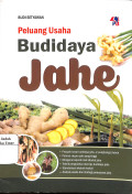 Peluang usaha budidaya jahe