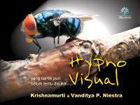 Image of Hypno Visual