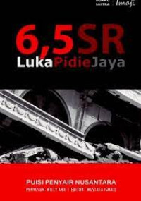 Image of 6,5 SR Luka Pidie Jaya. ( D. Kemalawati )