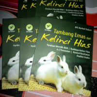 Image of Tambang emas dari kelinci hias