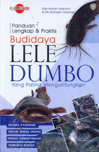 Budidaya Lele Dumbo