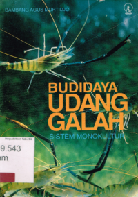 Image of Budidaya Udang Galah Sistem Monokultur