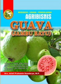 Agribisnis Guava (Jambu Batu)